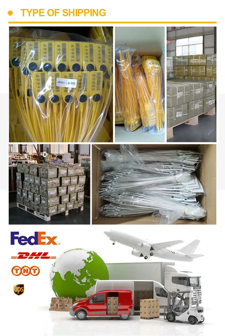 Envío y transporte Shipping&Transportation