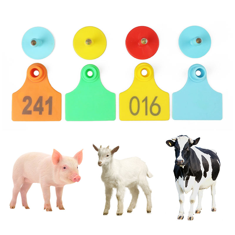 crotales para orejas de animales crotales para orejas de animales