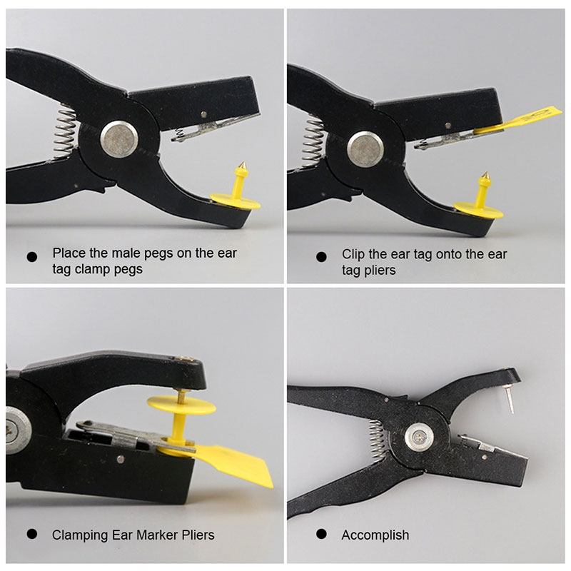 Aplicaciones de crotales para orejas de animales Aplicaciones de crotales para orejas de animales