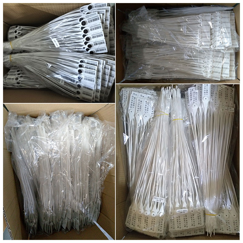 1718935245556012.jpg 07.jpg